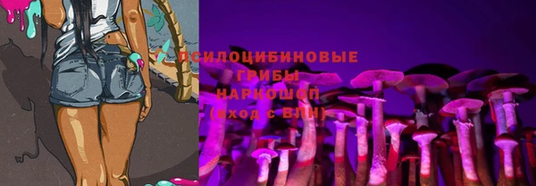 прущие грибы Абдулино