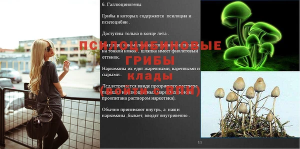 каннабис Алексин
