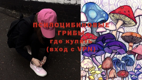 первитин Абаза