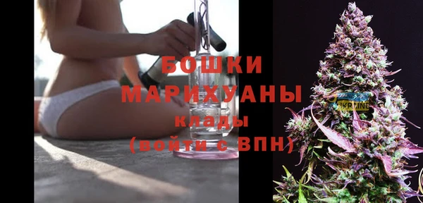 прущие грибы Абдулино
